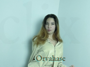 Orvahase