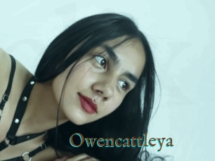 Owencattleya