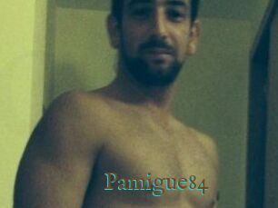 Pamigue84