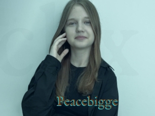 Peacebigge