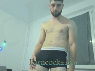 Porncock22cm