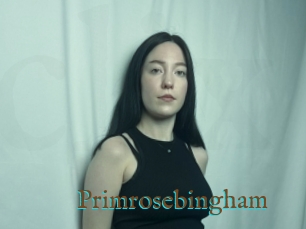 Primrosebingham