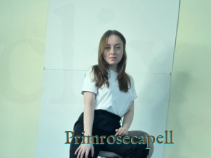 Primrosecapell