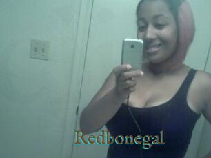 Redbonegal