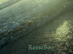ReeseBoo