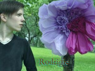Rodrigie