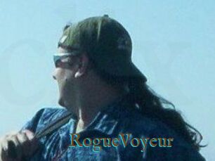 RogueVoyeur