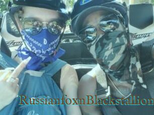 RussianfoxnBlackstallion