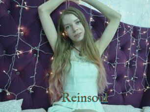 Reinsoul