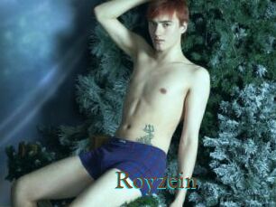 Royzein