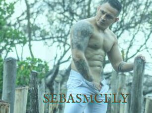SEBASMCFLY