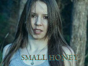 SMALL_HONEY