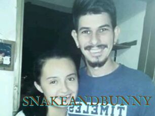 SNAKEANDBUNNY