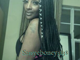 Sassyeboney3838