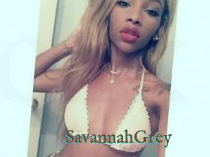 Savannah_Grey