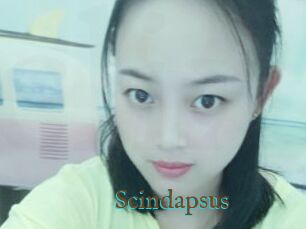 Scindapsus