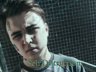 SelfDistruction