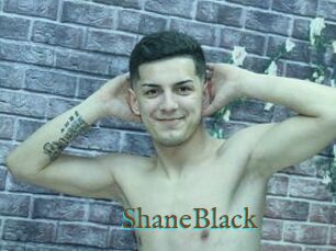 ShaneBlack