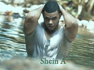 Shein_A