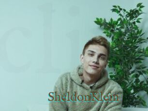 SheldonKlein