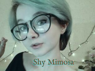 Shy_Mimosa