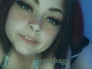 Sleezebagg