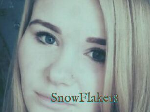 SnowFlake18