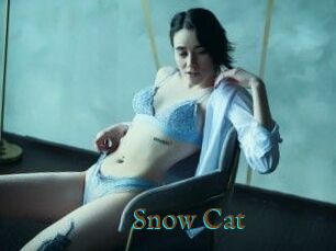 Snow_Cat