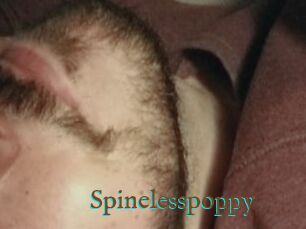 Spinelesspoppy