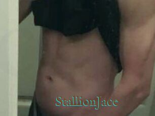 StallionJace