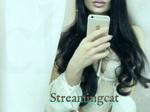 Streamingcat