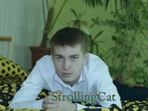 StrollingCat