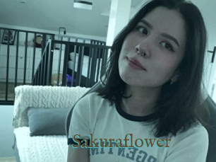 Sakuraflower