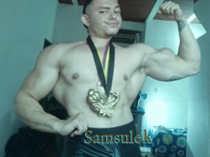 Samsulek