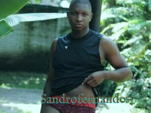 Sandrofernandes