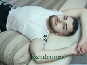 Sandroneri