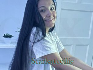 Scarlettcollie