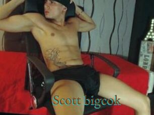 Scott_bigcok