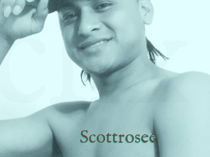 Scottrosee