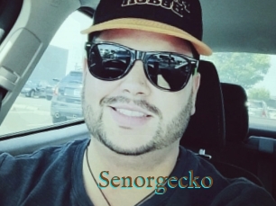 Senorgecko