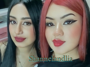 Shannelandlia