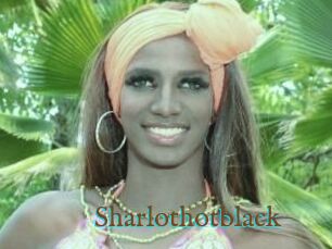 Sharlothotblack