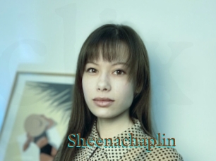 Sheenachaplin