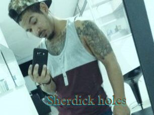 Sherdick_holes