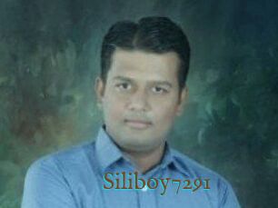 Siliboy7291
