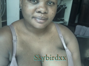 Skybirdxx