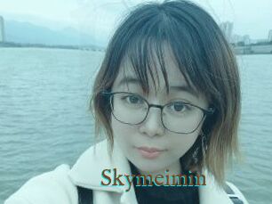 Skymeimin