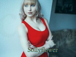 Sollyflower
