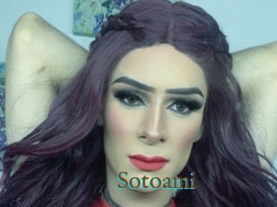 Sotoami