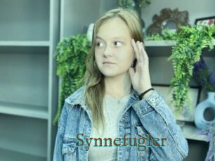 Synnefugler